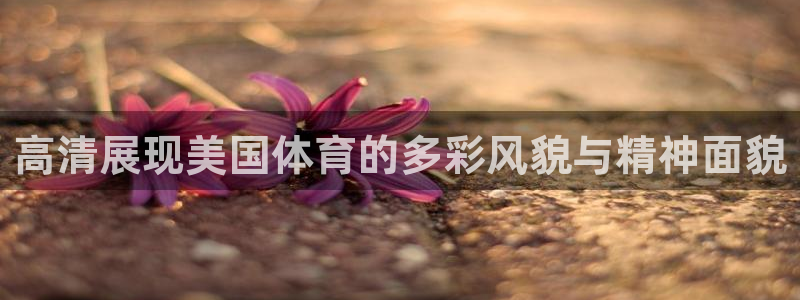 678体育官网