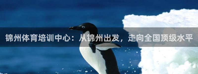 678体育知识