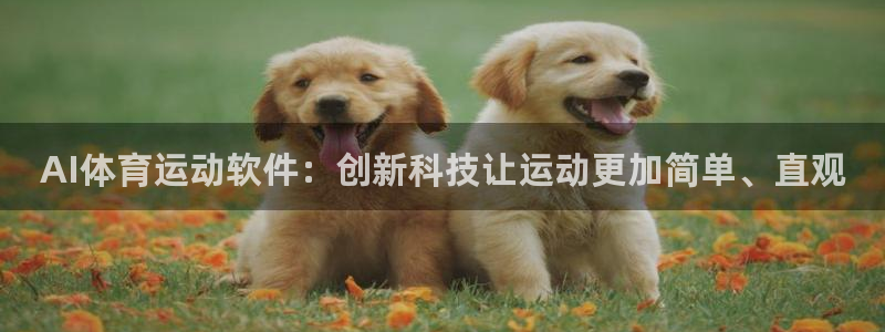 678体育