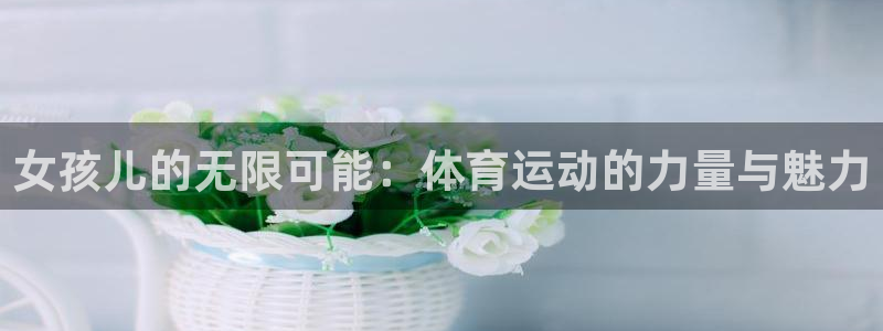 678体育app