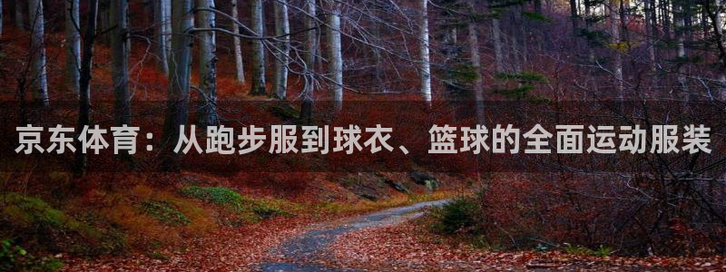678体育官网