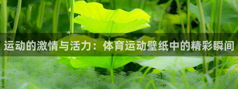678体育官网地址