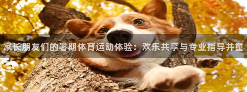 678体育app