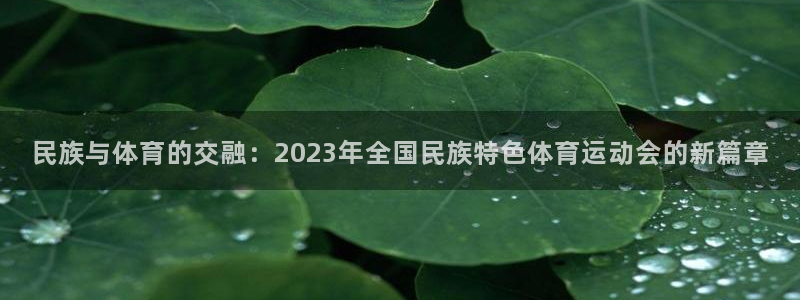 678体育官网下载