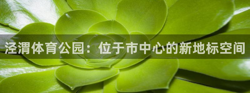 678体育